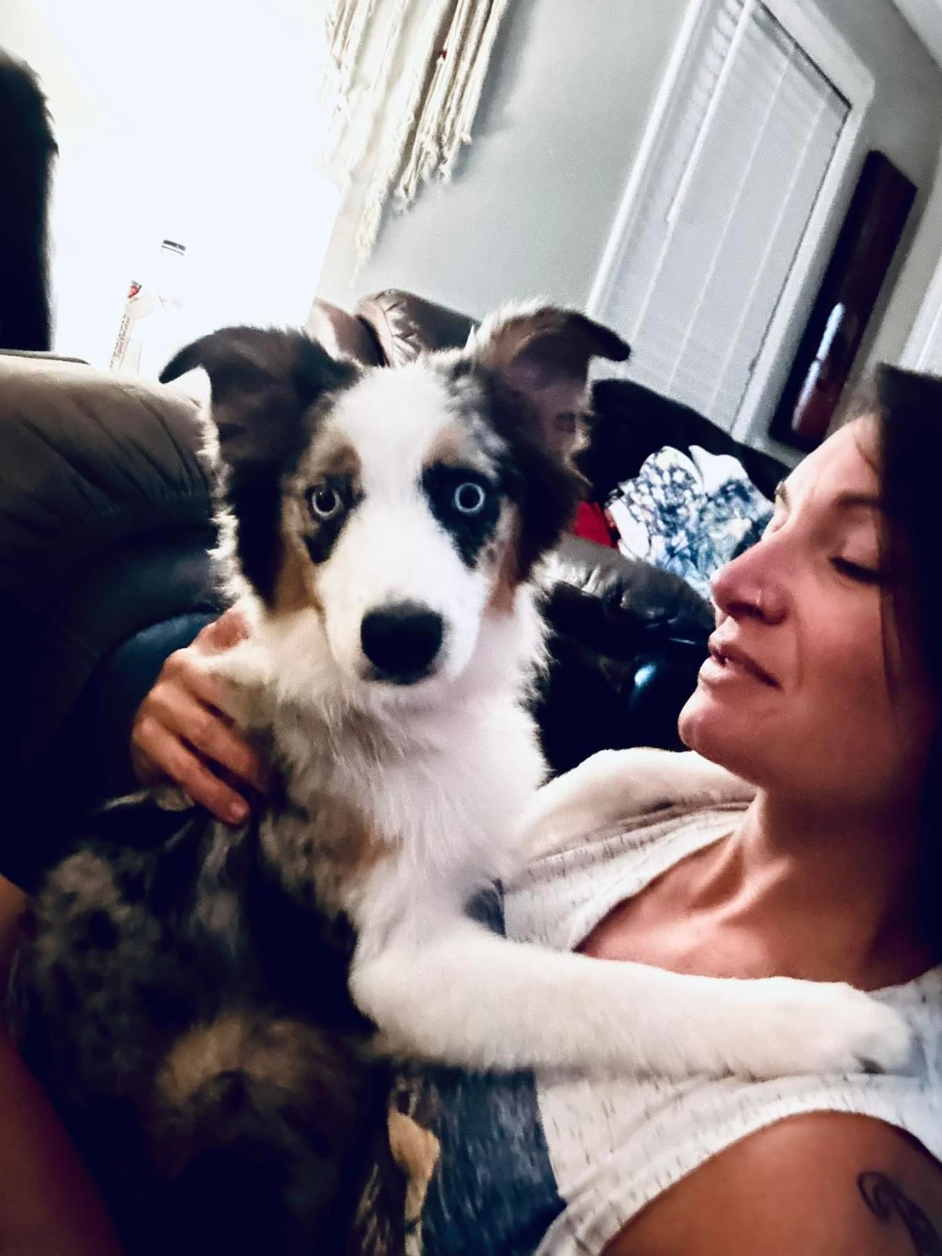A woman cuddling her black and white dog on a couch