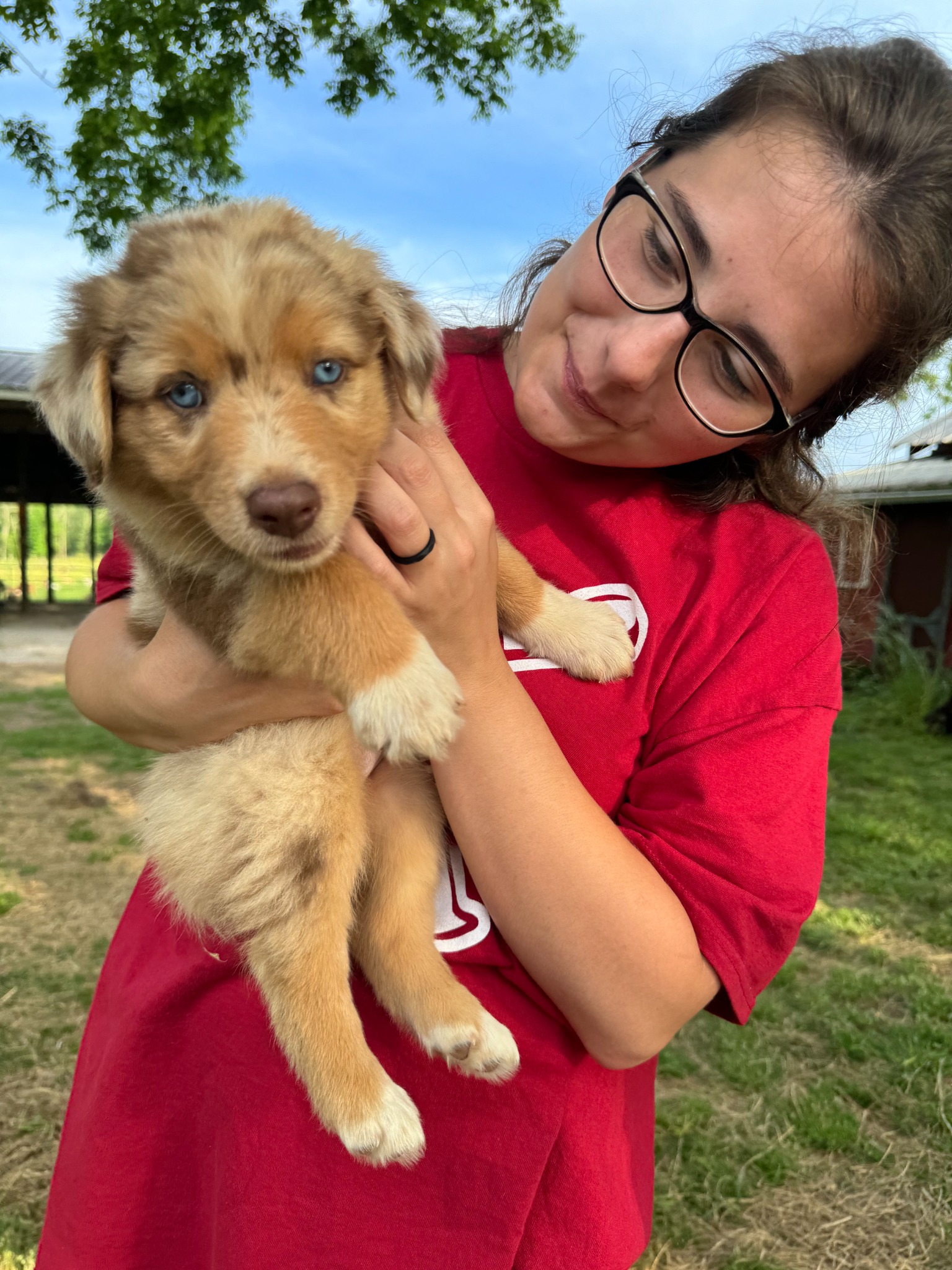 A smiling young woman holding a puppy on the farm
