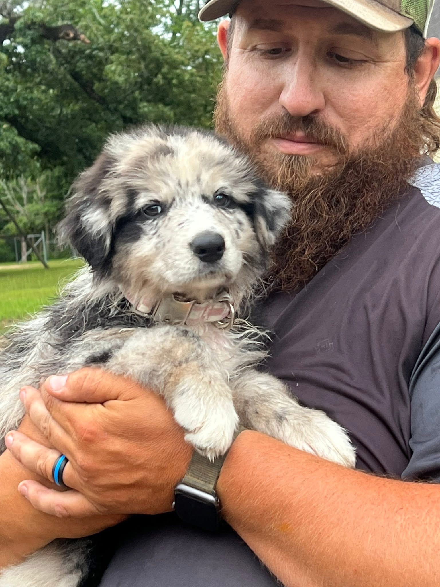 Mark holding a merle puppy beside the farm trees