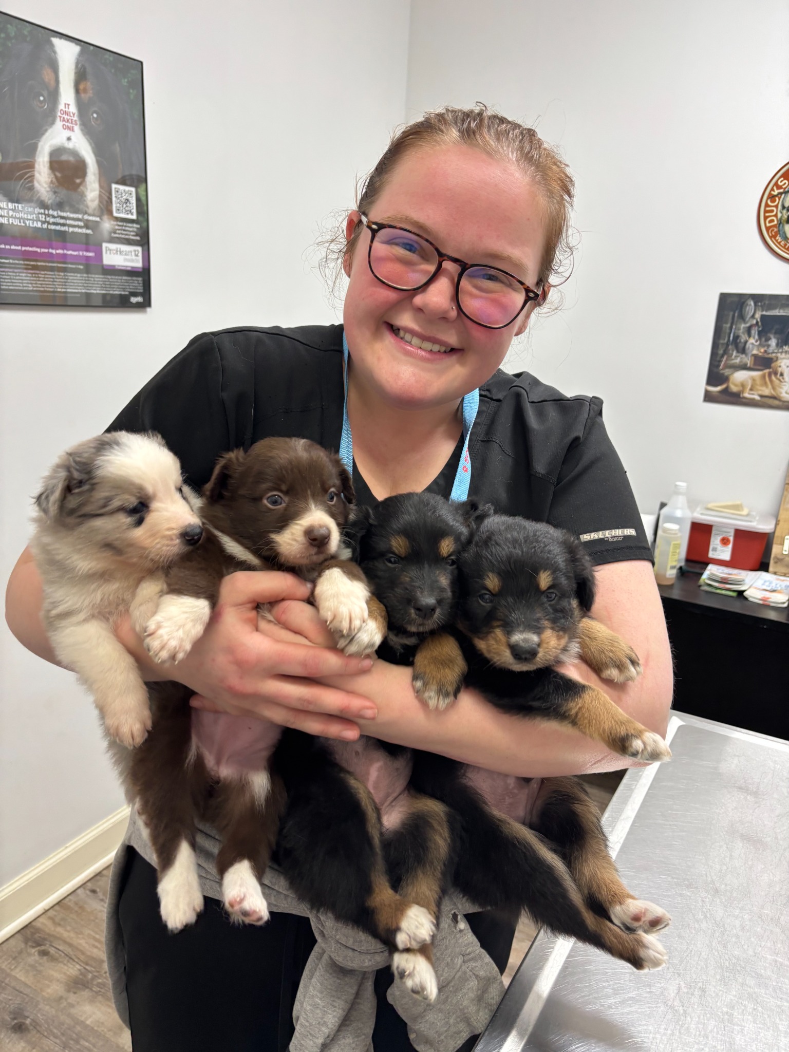 A smiling woman holding three puppies at a veterinary office